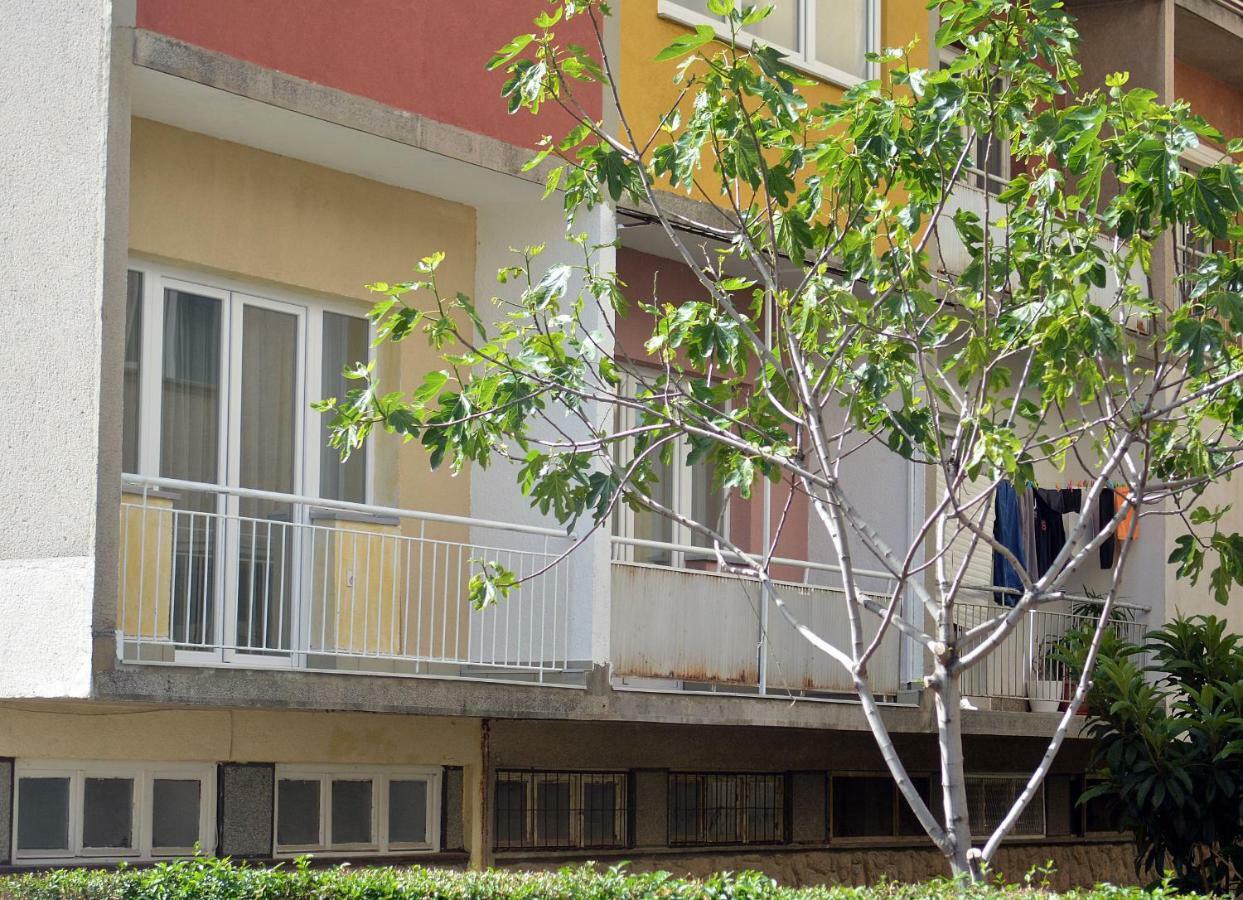 Ms Apartment Ohrid Bagian luar foto